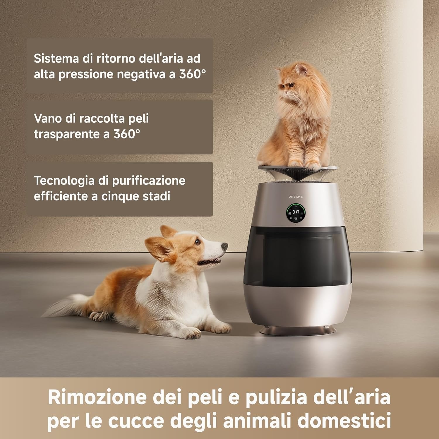 Dreame AP10 - blocco_img_testo_1_image